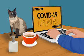 Image / illustration