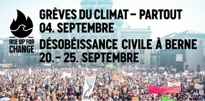 Image / illustration