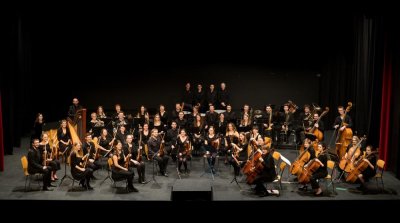 Image / illustration