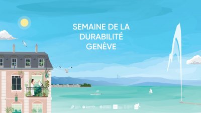 Image / illustration