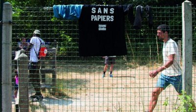 Image / illustration