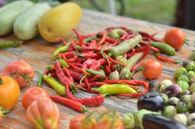 Image / illustration