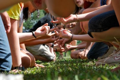 Image / illustration