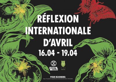 Image / illustration