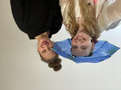 Image / illustration