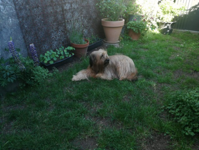 Image / illustration