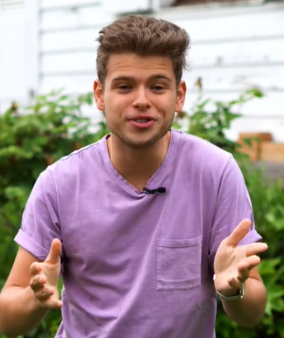 Image / illustration